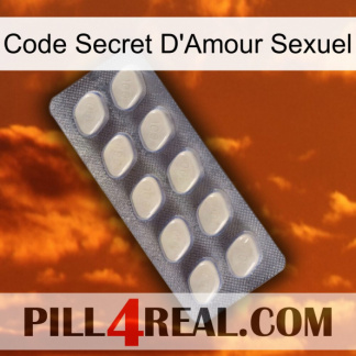 Sex Love Secret Code 08